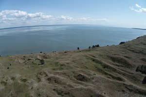 Kuršių marių ir Klaipėdos uosto akvatorijos vandenyse kyla pavojus žuvims: sumažėjo ištirpusio deguonies koncentracija