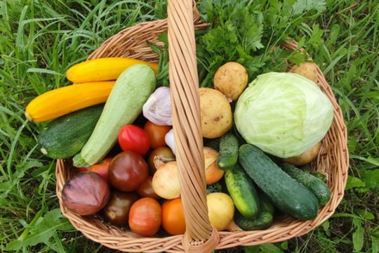 Anot ekologiškai ūkininkaujančių ūkininkų, dažnai lietuvis, prekybos vietose ieškodamas ekologiškos produkcijos, „paslysta“ – susivilioja etiketėmis, kuriose puikuojasi skambūs šūkiai, kad šie vaisiai, daržovės, uogos ar, pavyzdžiui, vištiena, kiaušiniai yra „natūralūs“, „užauginti Lietuvoje“, „užauginti kaime“.
