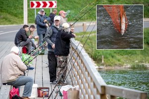 Niūrios prognozės: į Lietuvą atkeliaus dar daugiau invazinių rūšių žuvų, liūdniausias scenarijus – lašišoms