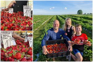 Prekyviečių stalus nuklojo pirmosios lietuviškos braškės: kainas vadina kosminėmis, tačiau augintojai turi paaiškinimą