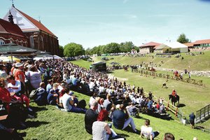 Kauno gimtadienio šventės sumanytojas svajoja apie atradimą, panašų į Liudo Mažylio