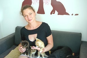 Perspėja apie gudrią aferistų schemą dėl beglobių gyvūnų: tvirtina, kad padėti atsisako net institucijos