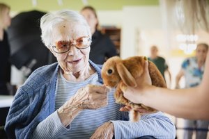 Būrys nykštukinių triušių skleidė savo magiją Vievio senjorams: paneigė mitus