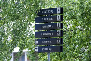 Vilniečiai išsakė nuomonę dėl naujų S. Nėries ir L. Giros gatvių pavadinimų: siūlo A. Brazausko, S. Povilaičio, šaltibarščių variantus