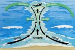 Skubantiems į pajūrį – skubus specialistų priminimas: šios žinios gali išgelbėti gyvybę