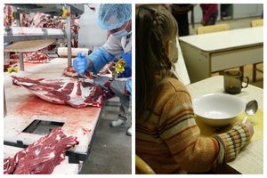 Baisu net pagalvoti: vaikų ugdymo įstaigoms maisto produktus tiekusios įmonės produkcijoje – itin pavojingos bakterijos