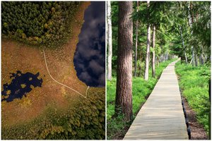 Šalia Vilniaus – dar viena kerinti vieta: atnaujintame pažintiniame take lankytojų laukia ir ypatinga naujiena