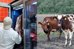 K. Navickas padidintus muitus ragina taikyti kuo platesniam rusiškos ir baltarusiškos žemės ūkio produkcijos sąrašui