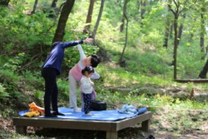 Įspūdinga Pietų Korėjos miškų politika: juose įkuria net vaikų darželius