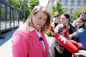 V. Mitalas nemano, kad V. Blinkevičiūtė taps premjere: jos geriausi laikai praeityje