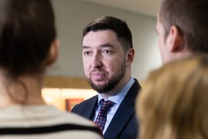 V. Mitalas: kovosime už G. Landsbergio kandidatūrą tiek, kiek jie kovos už civilinę sąjungą