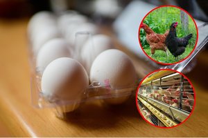 Prekybos tinkle pastebėjęs šią informaciją vyras liko apstulbęs: ar tai nėra pirkėjų apgavystė?