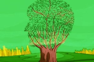 Ką pamatėte pirmiausia? Tai rodo, ar esate laimingi