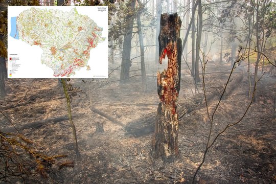 ​Lietuvoje vyraujanti aukšta oro temperatūra ir nedidelis kritulių kiekis – itin palankūs veiksniai miško gaisrams kilti. 