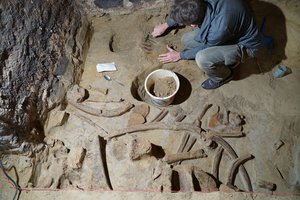 Archeologinė sensacija: gilino vyno rūsį, bet aptiko 40 000 metų senumo radinius