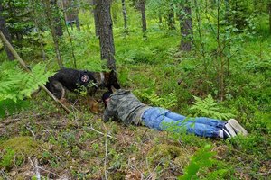 Meistriškumo čempionate paaiškės geriausias tarnybinis pasieniečių šuo: kviečia stebėti visus norinčius
