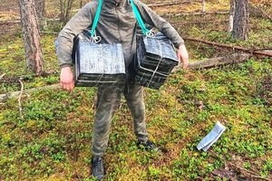 Į mišką susirinkti baltarusiškų cigarečių druskininkietis eina kaip į darbą – šiemet įkliuvo jau 12 kartą