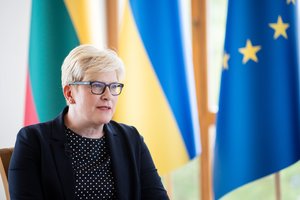 I. Šimonytė: jeigu reikės, Lietuva kartu su partneriais siųs į Ukrainą karius instruktorius