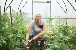 Birželis jūsų šiltnamyje: darbas Nr.1, nuo kurio priklauso visas derlius