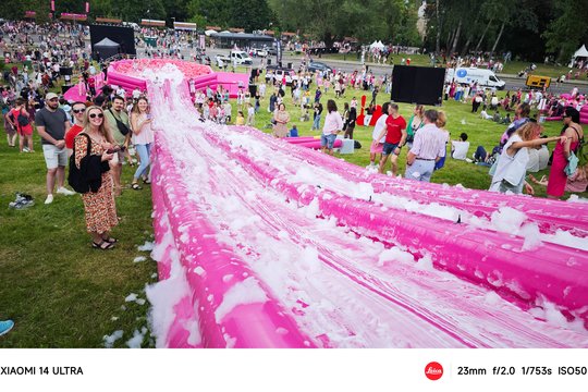  Šaltibarščių festivalyje Vilniuje užfiksuoti du rekordai.<br> T.Bauro nuotr.