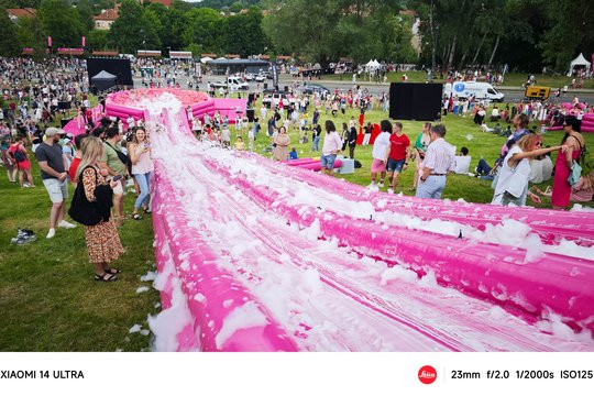  Šaltibarščių festivalyje Vilniuje užfiksuoti du rekordai.<br> T.Bauro nuotr.