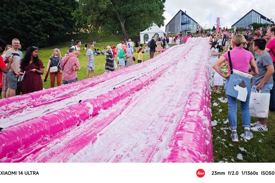  Šaltibarščių festivalyje Vilniuje užfiksuoti du rekordai.<br> T.Bauro nuotr.