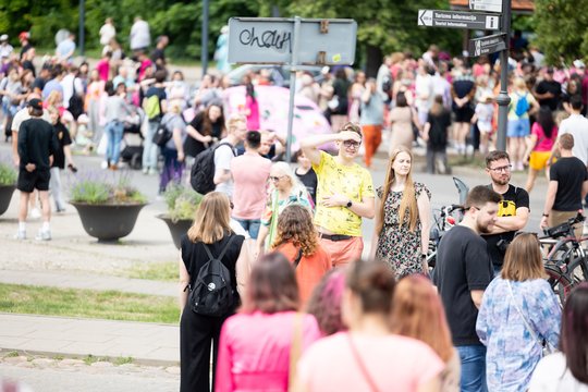  Šaltibarščių festivalyje Vilniuje užfiksuoti du rekordai.<br> T.Bauro nuotr.