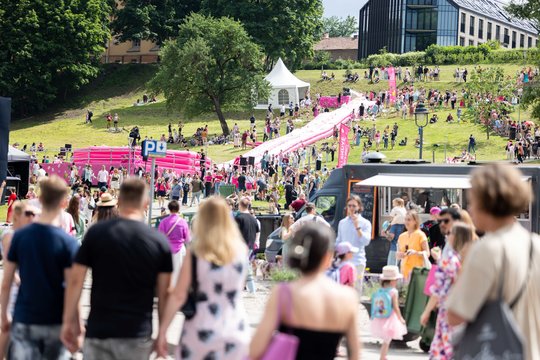  Šaltibarščių festivalyje Vilniuje užfiksuoti du rekordai.<br> T.Bauro nuotr.