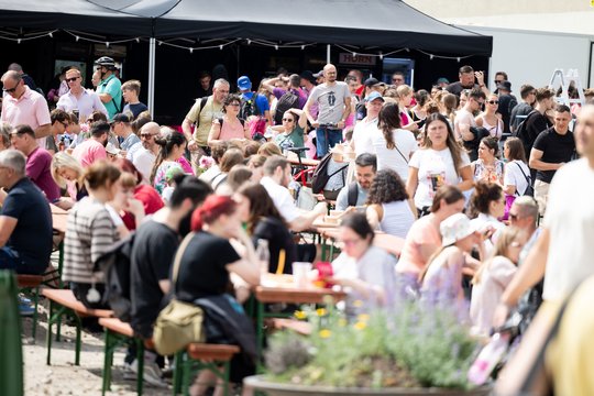  Šaltibarščių festivalyje Vilniuje užfiksuoti du rekordai.<br> T.Bauro nuotr.