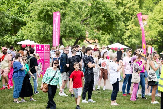  Šaltibarščių festivalyje Vilniuje užfiksuoti du rekordai.<br> T.Bauro nuotr.