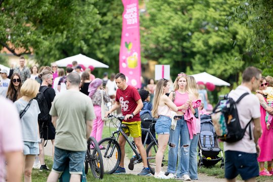  Šaltibarščių festivalyje Vilniuje užfiksuoti du rekordai.<br> T.Bauro nuotr.