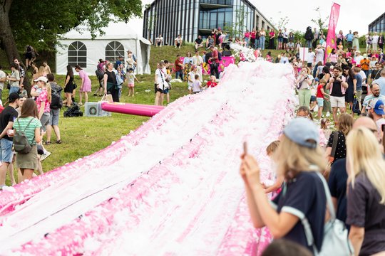  Šaltibarščių festivalyje Vilniuje užfiksuoti du rekordai.<br> T.Bauro nuotr.