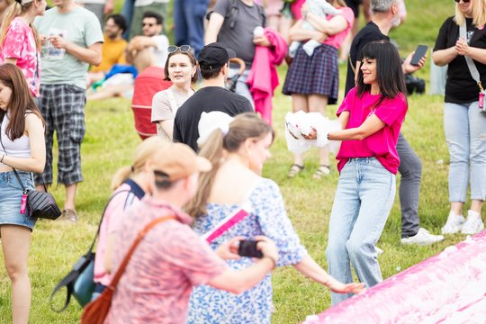  Šaltibarščių festivalyje Vilniuje užfiksuoti du rekordai.<br> T.Bauro nuotr.