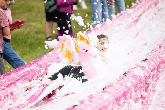  Šaltibarščių festivalyje Vilniuje užfiksuoti du rekordai.<br> T.Bauro nuotr.