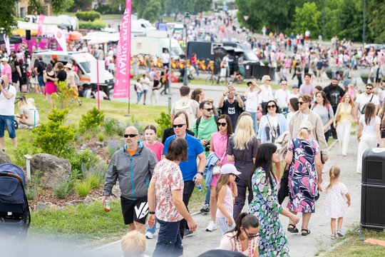  Šaltibarščių festivalyje Vilniuje užfiksuoti du rekordai.<br> T.Bauro nuotr.