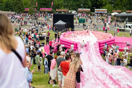  Šaltibarščių festivalyje Vilniuje užfiksuoti du rekordai.<br> T.Bauro nuotr.