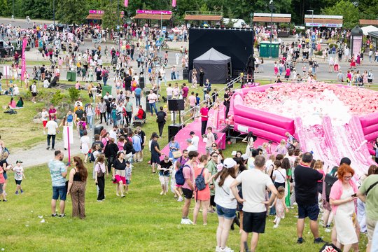  Šaltibarščių festivalyje Vilniuje užfiksuoti du rekordai.<br> T.Bauro nuotr.