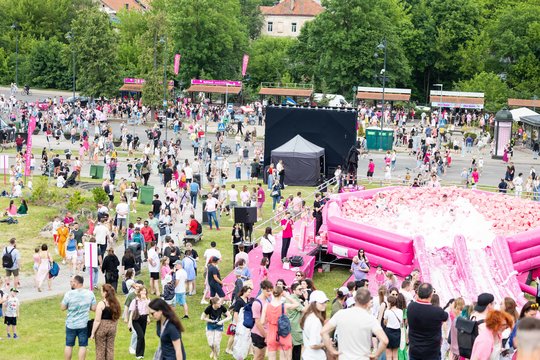  Šaltibarščių festivalyje Vilniuje užfiksuoti du rekordai.<br> T.Bauro nuotr.