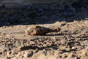 Radinys sukėlė ant kojų – Vilniaus centre iškasė granatą