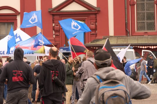 Likus savaitei iki Europos Parlamento rinkimų partija „Alternatyva Vokietijai“ (AfD) rikiuojasi antroje reitingų lentelės vietoje nepaisant kelių rimtų skandalų.