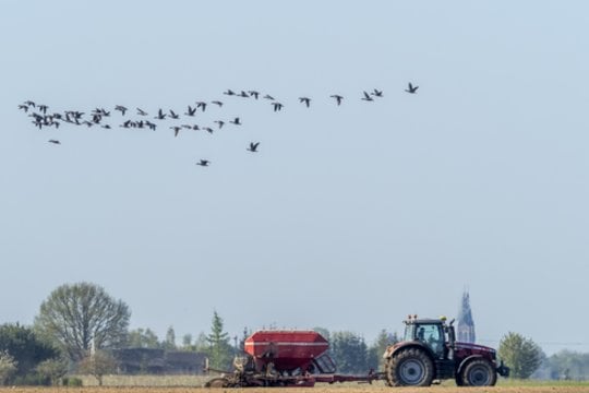 Nuo šios savaitės draudžiama į Lietuvą importuoti iš Rusijos ir Baltarusijos žemės ūkio produktus ir pašarus.