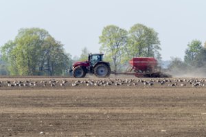 Tiesia pagalbos ranką ūkininkams – teiks lengvatines paskolas