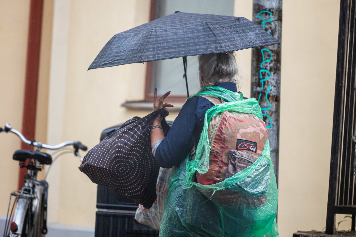 Liūtis Vilniuje. <br>J.Elinsko/ELTA nuotr.