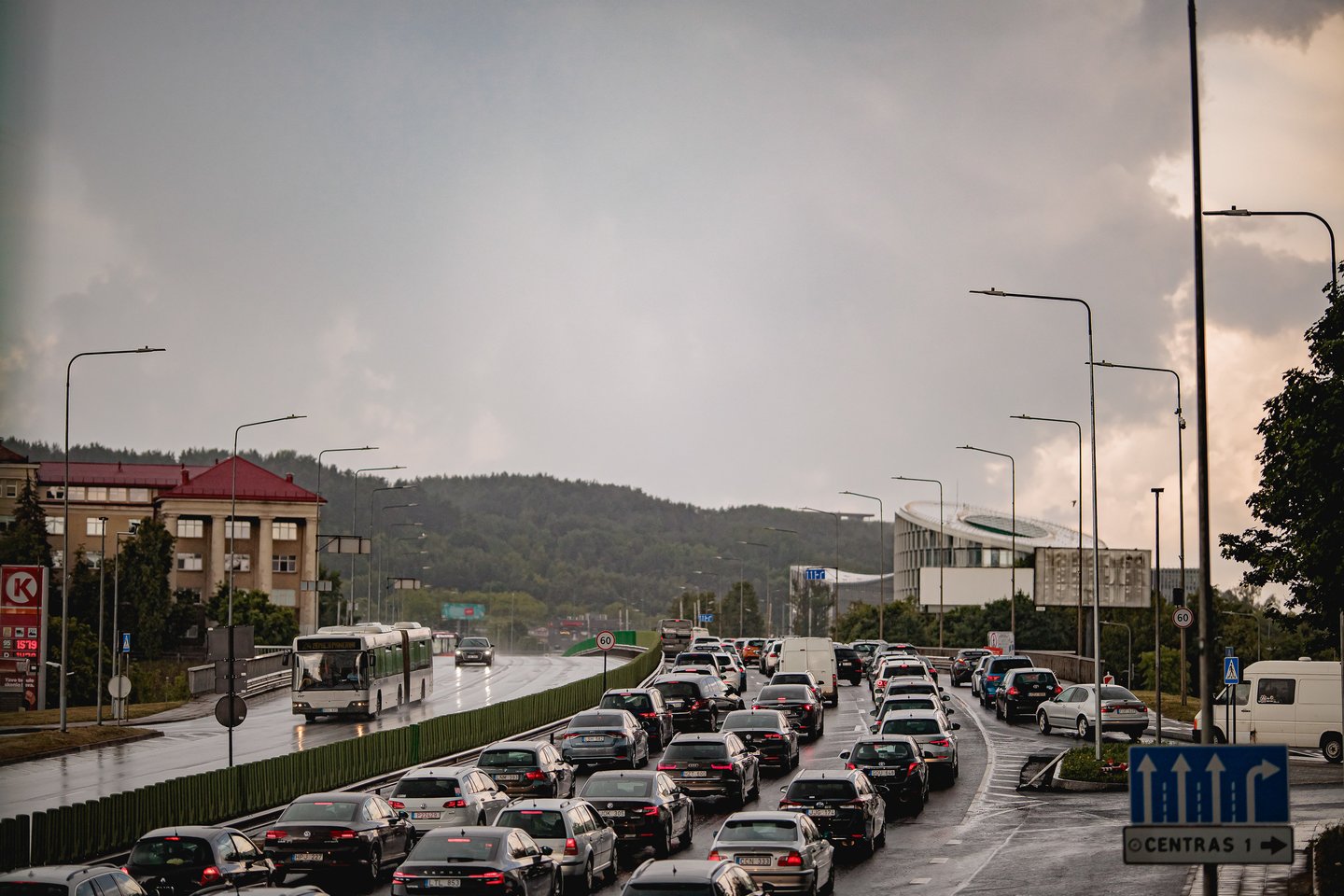 Liūtis Vilniuje. <br>J.Elinsko/ELTA nuotr.