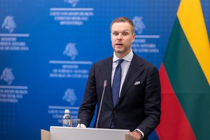 G. Landsbergis apie VSD ir STT vadovų atsakomybę: jei šį klausimą keltų Seimas, tai atrodytų politizuotai