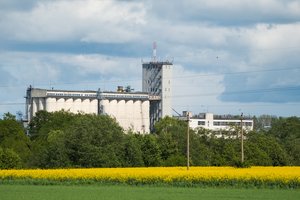 „Lifosos“ darbuotojai jau grįžta iš prastovų