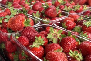 Netradicinis braškių laikymo būdas padės, kad jos išsilaikytų ilgiau