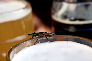 Paaiškino keistą reiškinį parduotuvių lentynose: dvejoja, ar tai tik nėra vienas iš gudravimo būdų