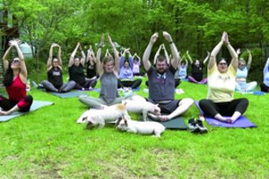 Dėl jogos su šiais gyvūnais sukaria šimtus kilometrų, o bilietai išgraibstomi žaibiškai