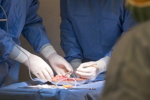 300 žmonių laukia ne vasaros atostogų, o kvietimo transplantacijai